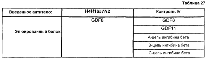 Антитела против gdf8 человека (патент 2567805)