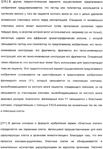 Специфические антитела человека для избирательной терапии рака (патент 2316564)