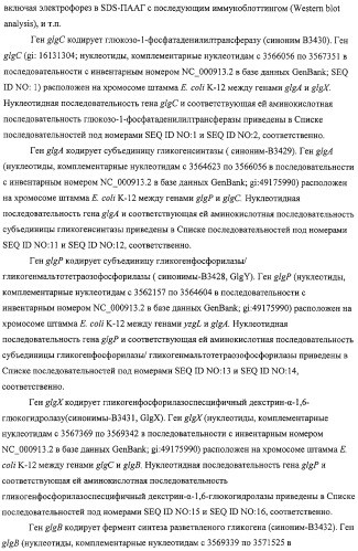 Способ получения l-аминокислот с использованием бактерии, принадлежащей к роду escherichia, в которой разрушен путь биосинтеза гликогена (патент 2315809)