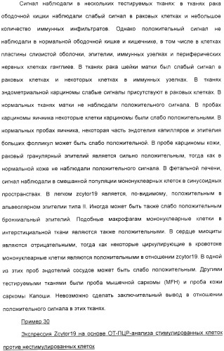 Выделенный полипептид, обладающий антивирусной активностью (варианты), кодирующий его полинуклеотид (варианты), экспрессирующий вектор, рекомбинантная клетка-хозяин, способ получения полипептида, антитело, специфичное к полипептиду, и фармацевтическая композиция, содержащая полипептид (патент 2321594)