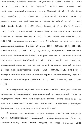 Поликлональное антитело против nogo, фармацевтическая композиция и применение антитела для изготовления лекарственного средства (патент 2432364)