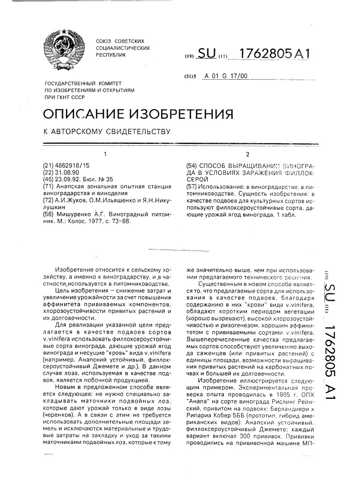 Способ выращивания винограда в условиях заражения филлоксерой (патент 1762805)