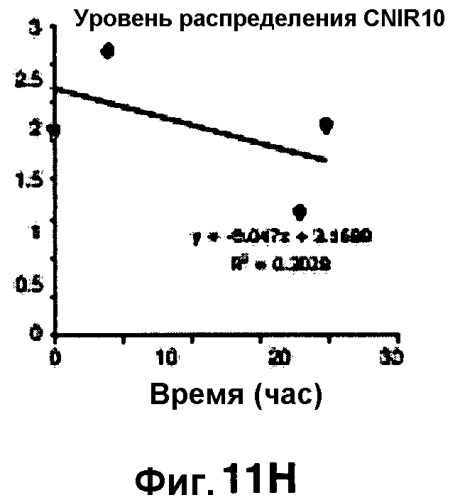 Применение бактериальной бета-лактамазы для диагностики in vitro и визуализации, диагностики и лечения in vivo (патент 2520661)