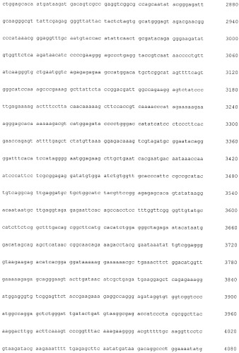 Новая гидрогеназа seq id no:5, очищенная из thermococcus onnurienus na1 с помощью моноokcида углерода, кодирующие ее гены, и способы получения водорода с использованием микроорганизма, имеющего указанные гены (патент 2460789)