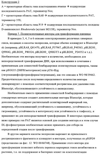 Способ избирательного получения растений с мужской или женской стерильностью (патент 2320722)