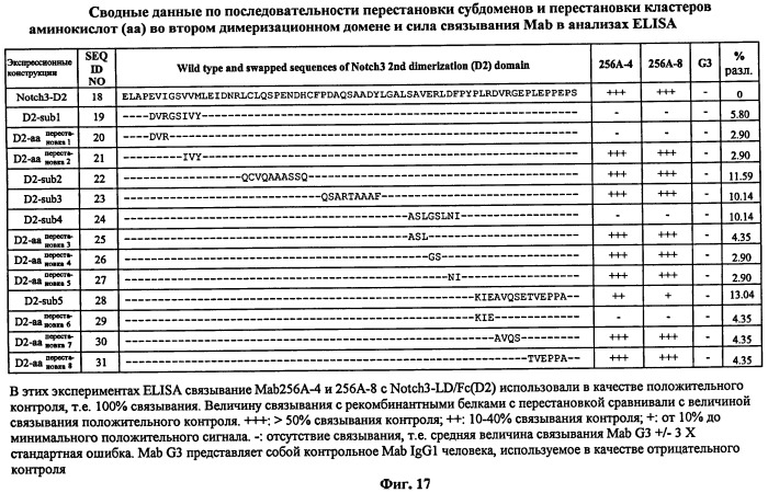 Антитела-антагонисты против notch3 и их применение для профилактики и лечения связанных с notch3 заболеваний (патент 2493167)