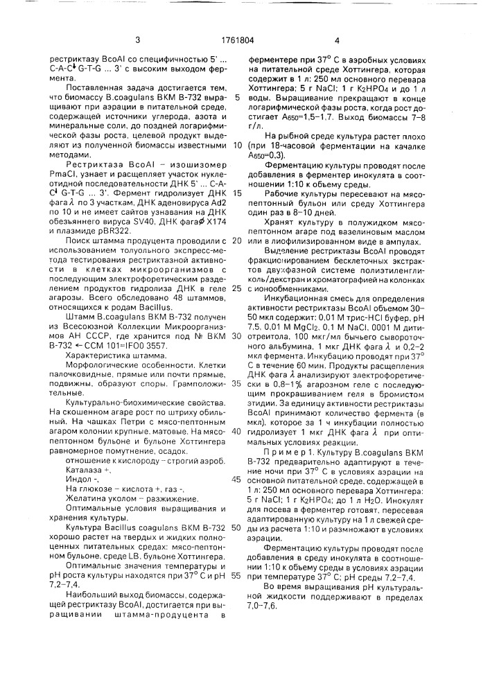 Штамм бактерий bacillus coagulans - продуцент рестриктазы всо ai (патент 1761804)