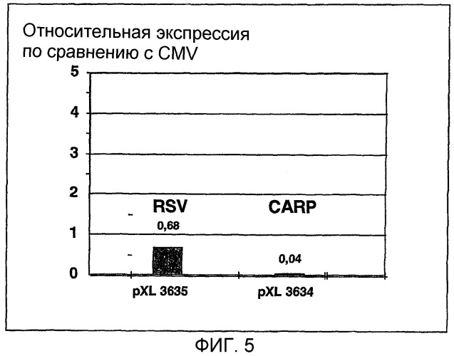 Последовательность, расположенная выше гена carp, вектор, содержащий эту последовательность, и их использование (патент 2283865)