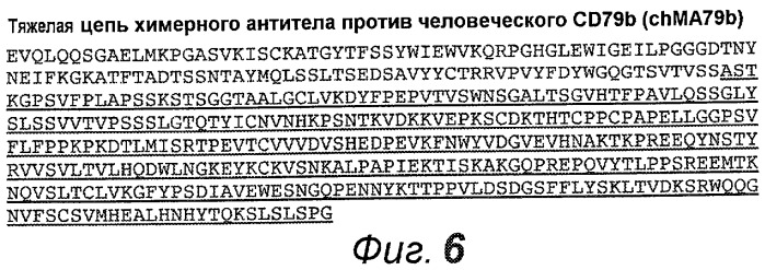 Анти-cd79b антитела и иммуноконъюгаты и способы их применения (патент 2511410)