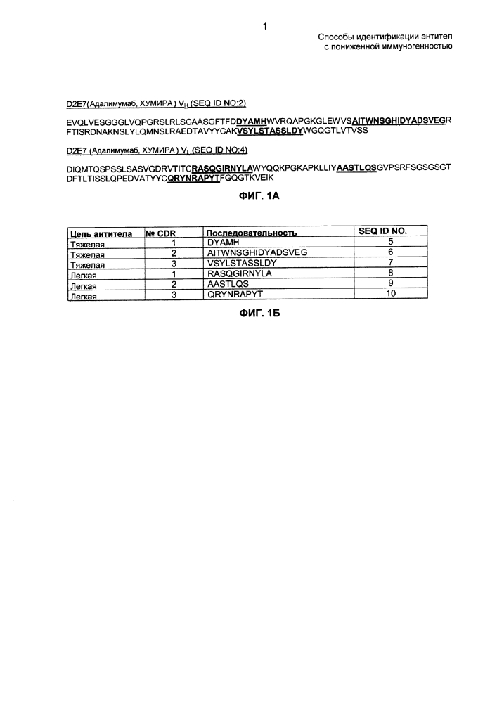Способы идентификации антител с пониженной иммуногенностью (патент 2648141)