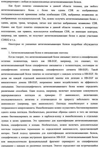 Белки, связывающие антиген фактор роста, подобный гепаринсвязывающему эпидермальному фактору роста (патент 2504551)