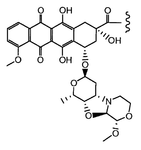 Конъюгаты производного антрациклина, способы их получения и их применение в качестве противоопухолевых соединений (патент 2523419)