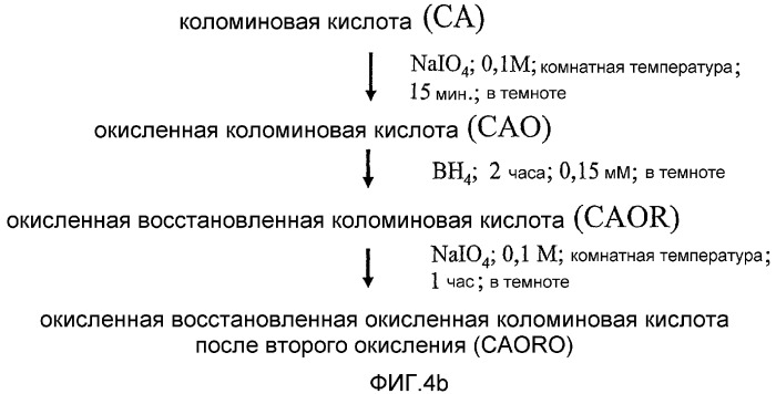 Альдегидные производные сиаловой кислоты, способы их получения, конъюгаты альдегидных производных сиаловой кислоты и фармацевтическая композиция на их основе (патент 2333223)