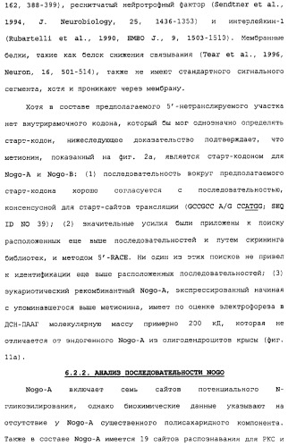 Поликлональное антитело против nogo, фармацевтическая композиция и применение антитела для изготовления лекарственного средства (патент 2432364)