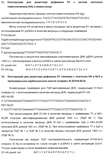 Способ идентификации соединений, взаимодействующих с трансмембранными белками (патент 2326166)