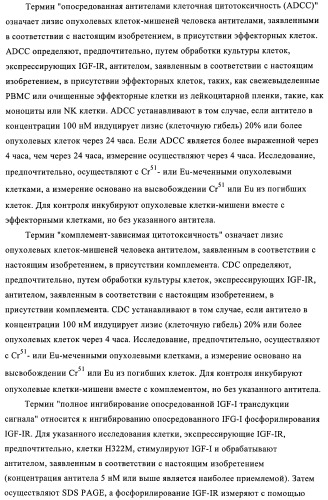 Антитела к рецептору инсулиноподобного фактора роста i и их применение (патент 2363706)