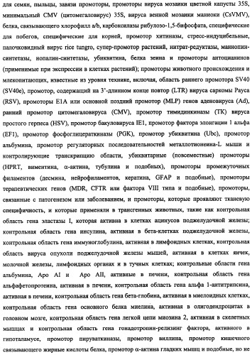 Конструкции терапевтического переключения генов и биореакторы для экспрессии биотерапевтических молекул и их применение (патент 2499599)