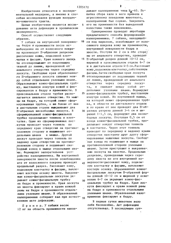 Способ формирования калоприемника у экспериментальных животных (патент 1205170)