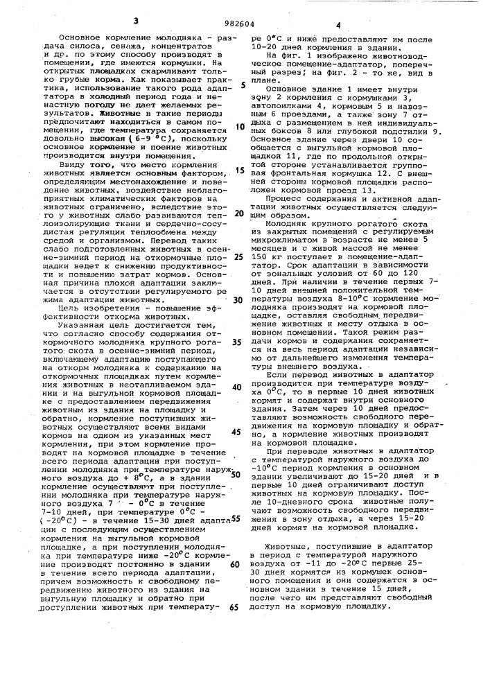 Способ содержания откормочного молодняка крупного рогатого скота в осенне-зимний период (патент 982604)