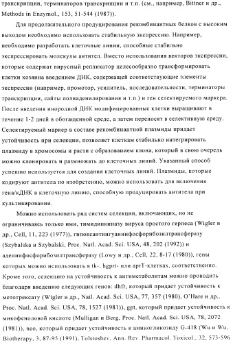 Стабилизированные антитела против ангиопоэтина-2 и их применение (патент 2509085)