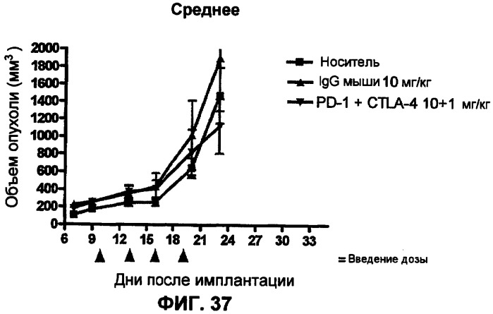 Моноклональные антитела человека к белку программируемой смерти 1 (pd-1) и способы лечения рака с использованием анти-pd-1-антител самостоятельно или в комбинации с другими иммунотерапевтическими средствами (патент 2406760)