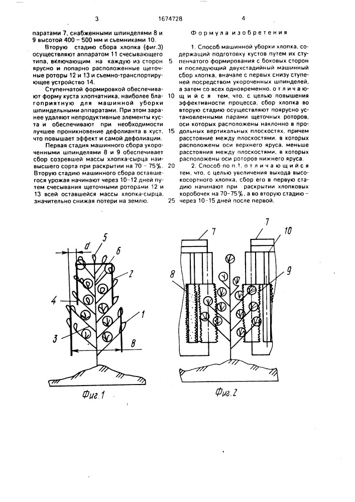 Способ машинной уборки хлопка (патент 1674728)