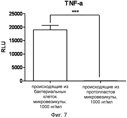 Микровезикулы, происходящие из протопластов клеток, и их применение (патент 2570636)