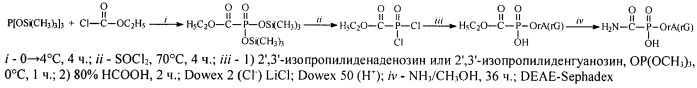 Способ получения 5&#39;-аминокарбонилфосфонатов нуклеозидов и способ получения хлорангидрида триметилсилильного эфира этоксикарбонилфосфоновой кислоты (патент 2446169)