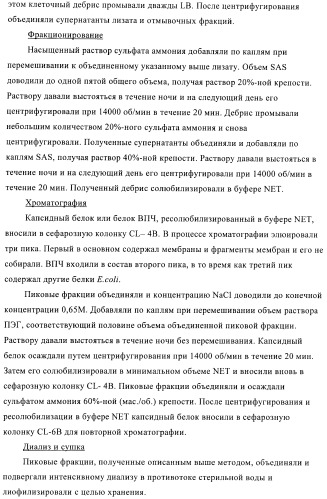 Конъюгаты впч-антиген и их применение в качестве вакцин (патент 2417793)