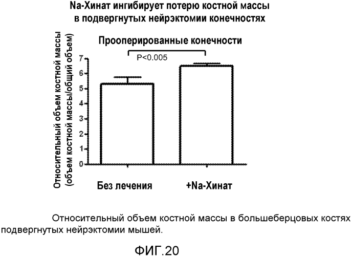 Лечение остеопороза (патент 2562976)