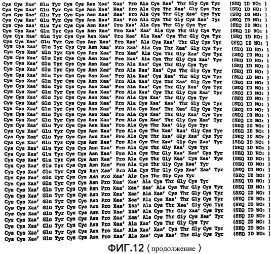 Полипептид для увеличения активности рецептора гуанилатциклазы, фармацевтическая композиция, способ лечения желудочно-кишечного расстройства у пациента, способ повышения активности рецептора гуанилатциклазы у пациента, способ лечения висцеральной боли, способ получения полипептида (варианты), изолированная молекула нуклеиновой кислоты, бактериальный вектор экспрессии и изолированная бактериальная клетка (патент 2433133)