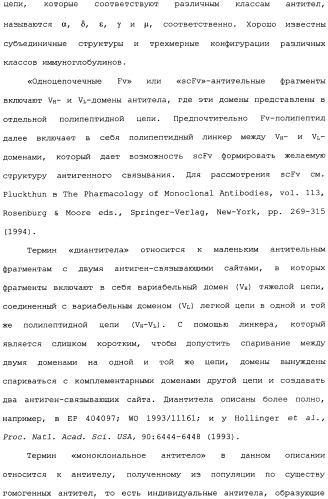 Способ лечения волчанки (патент 2396980)