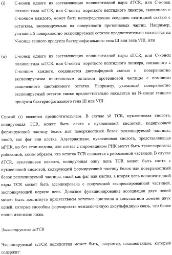 Экспонирование т-клеточных рецепторов (патент 2346004)
