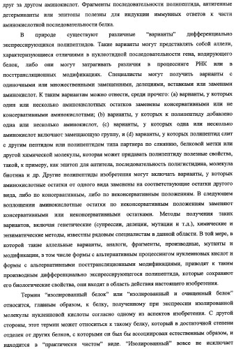 Гены, связанные с остеоартритом собак, и относящиеся к этому способы и композиции (патент 2341795)