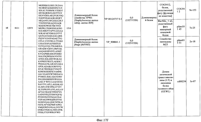 Бактериофаг, обладающий активностью против pseudomonas aeruginosa, белки бактериофага и способы их применения (патент 2580248)