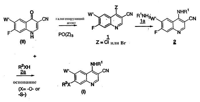Способ получения 7-замещенного-3-хинолин и 3-хинол-4-он карбонитрилов (патент 2309149)