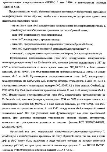 Способ получения l-треонина и l-аргинина с использованием бактерии, принадлежащей к роду escherichia, в которой инактивирован кластер генов yehabcde (патент 2337960)