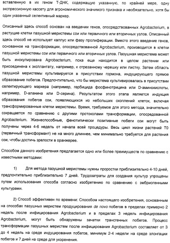 Улучшенная трансформация сои (патент 2389797)
