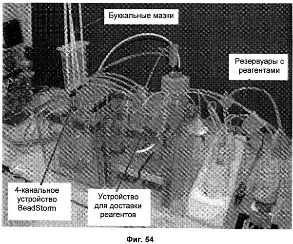 Универсальная система подготовки образцов и применение в интегрированной системе анализа (патент 2559541)