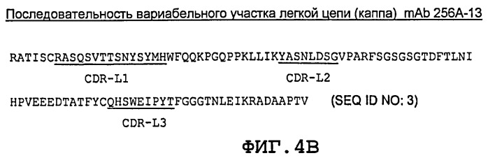 Агонистические антитела против notch3 и их применение для лечения notch3-ассоциированных заболеваний (патент 2461569)