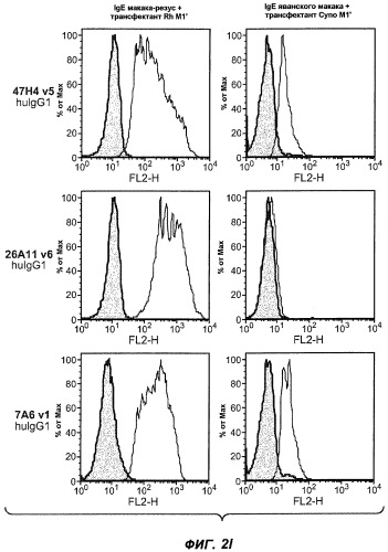 Апоптотические антитела против ige (патент 2500686)