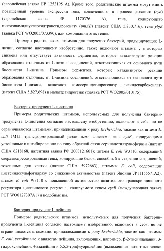 Способ получения l-треонина с использованием бактерии, принадлежащей к роду escherichia, в которой инактивирован ген yncd (патент 2396337)