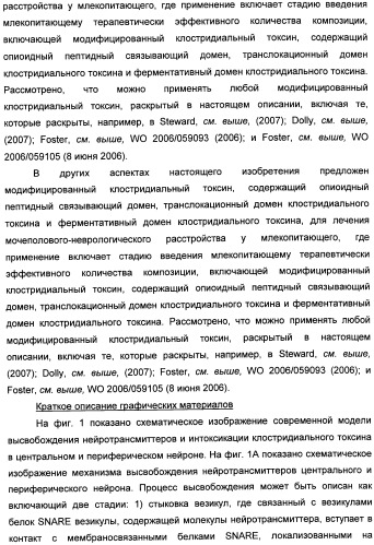 Способы лечения мочеполовых-неврологических расстройств с использованием модифицированных клостридиальных токсинов (патент 2491086)