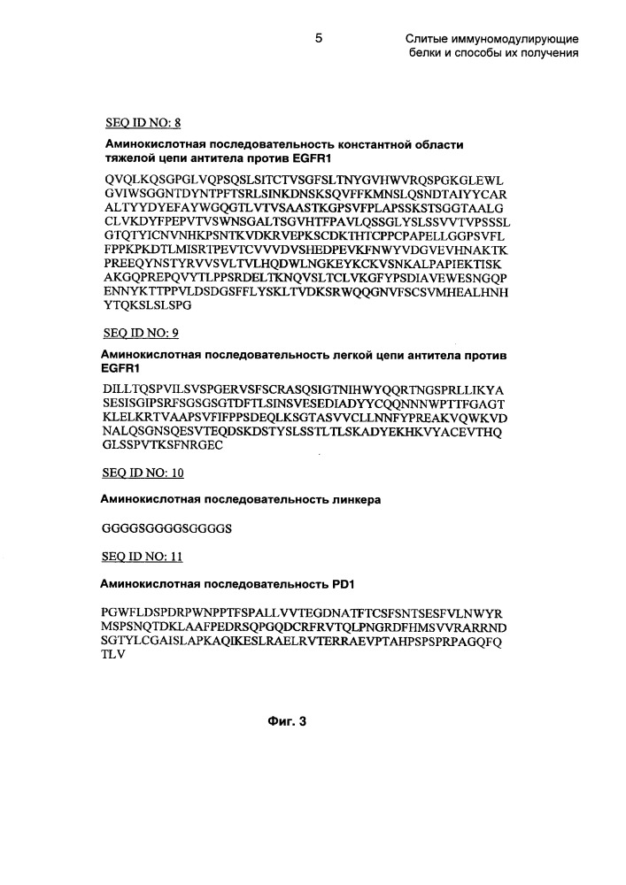 Слитые иммуномодулирующие белки и способы их получения (патент 2662991)
