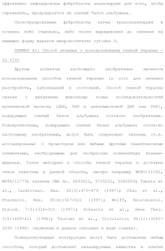 Слитые белки альбумина (патент 2369404)
