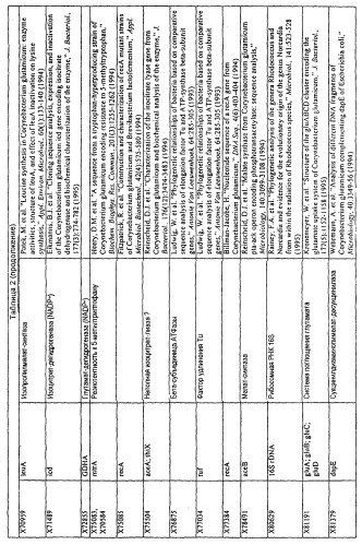 Гены corynebacterium glutamicum, кодирующие белки резистентности и толерантности к стрессам (патент 2303635)