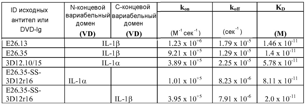 Il-1 альфа и бета биспецифические иммуноглобулины с двойными вариабельными доменами и их применение (патент 2627171)