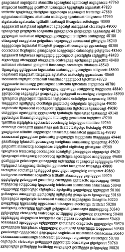 Модуляция экспрессии гентингтина (патент 2562861)