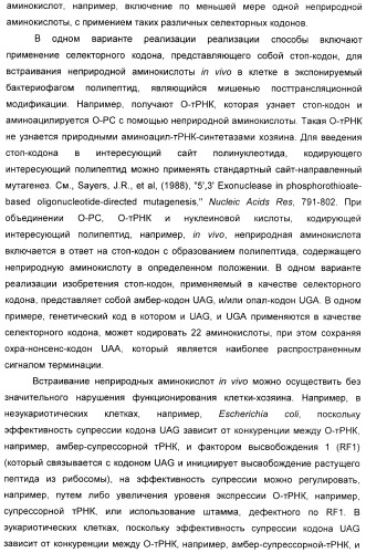Селективная посттрансляционная модификация экспонируемых фагами полипептидов (патент 2459866)