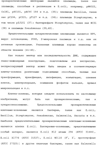 Белок ifnab-bpi, его предшественник, молекула днк, экспрессирующий вектор, способ продуцирования, фармацевтическая композиция для ингибирования активности ifn-  или ifn-  (патент 2336279)